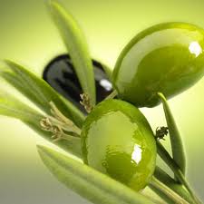 Corso tecnico per assaggiatori olio di oliva vergine